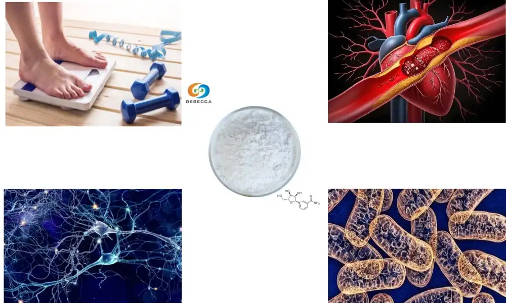 What are the long-term effects of taking nicotinamide riboside?